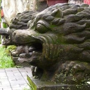 Meet your Posher, Kent